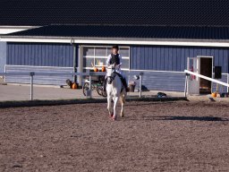 IMG_7276_web